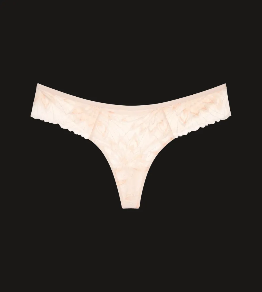 String, Brazilian>Triumph AMOURETTE CHARM DELIGHT Freshpowder