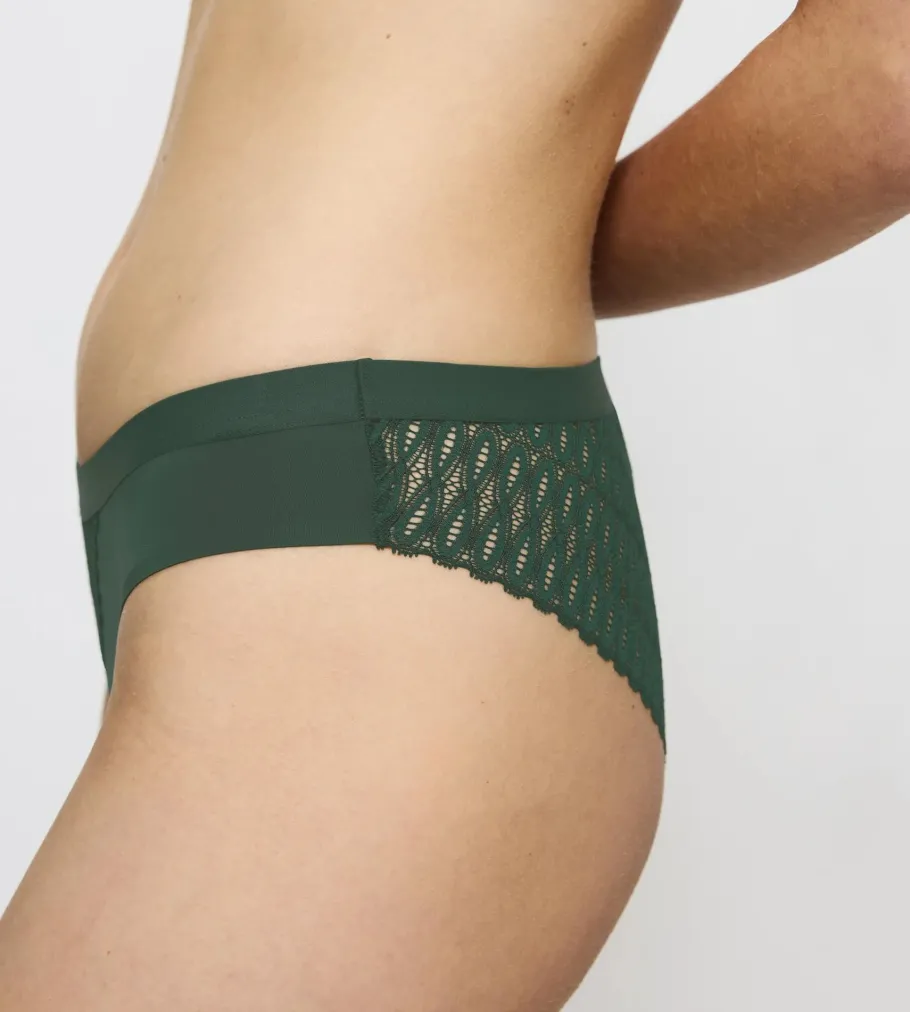 String, Brazilian|Seamless>Triumph AURA SPOTLIGHT Greenkiss
