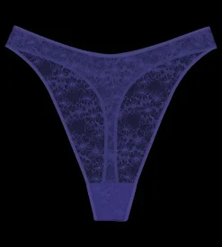 String, Brazilian>Triumph BRIGHT SPOTLIGHT Coolwater