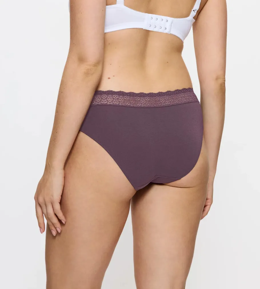 Hipster>Triumph FEEL OF MODAL PurpleDusk